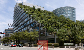 تراس باغ های پلکانی حیرت انگیز در ژاپن